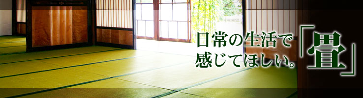 畳イメージ